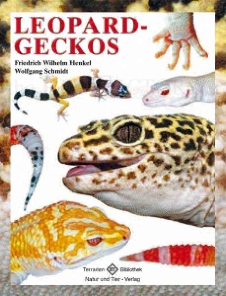 Leopardgeckos